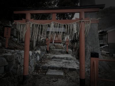 深泥池（みどろがいけ）