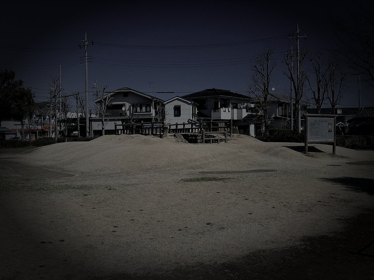 鶴ヶ島市廃農村の霊火のイメージ（モザイク処理済み）