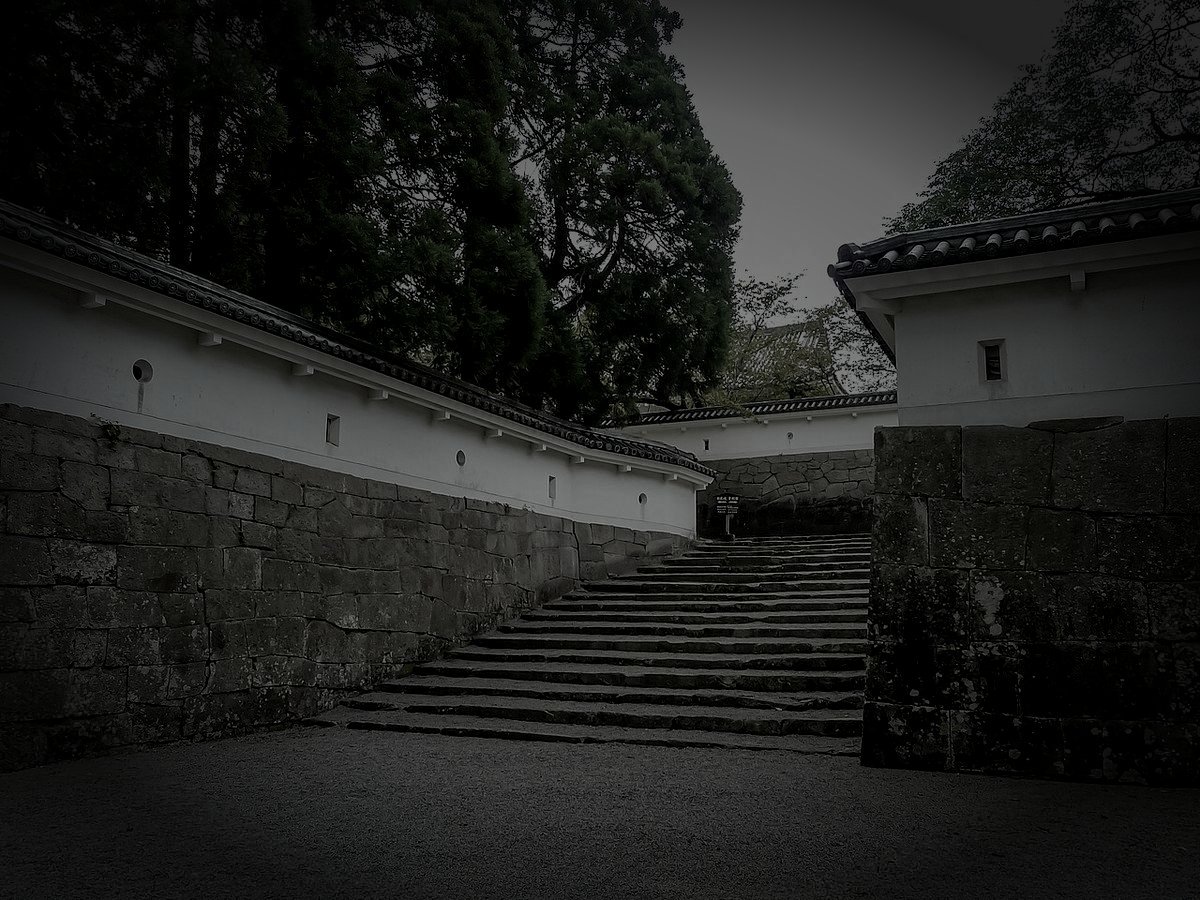 日南市の旧廃農場のイメージ（モザイク処理済み）