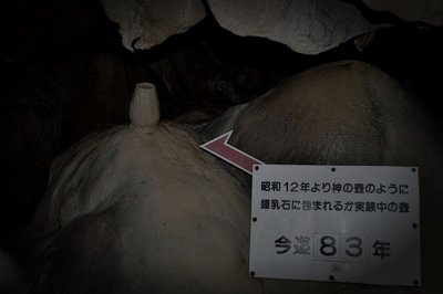 龍河洞（龍河洞廃ホテル跡）