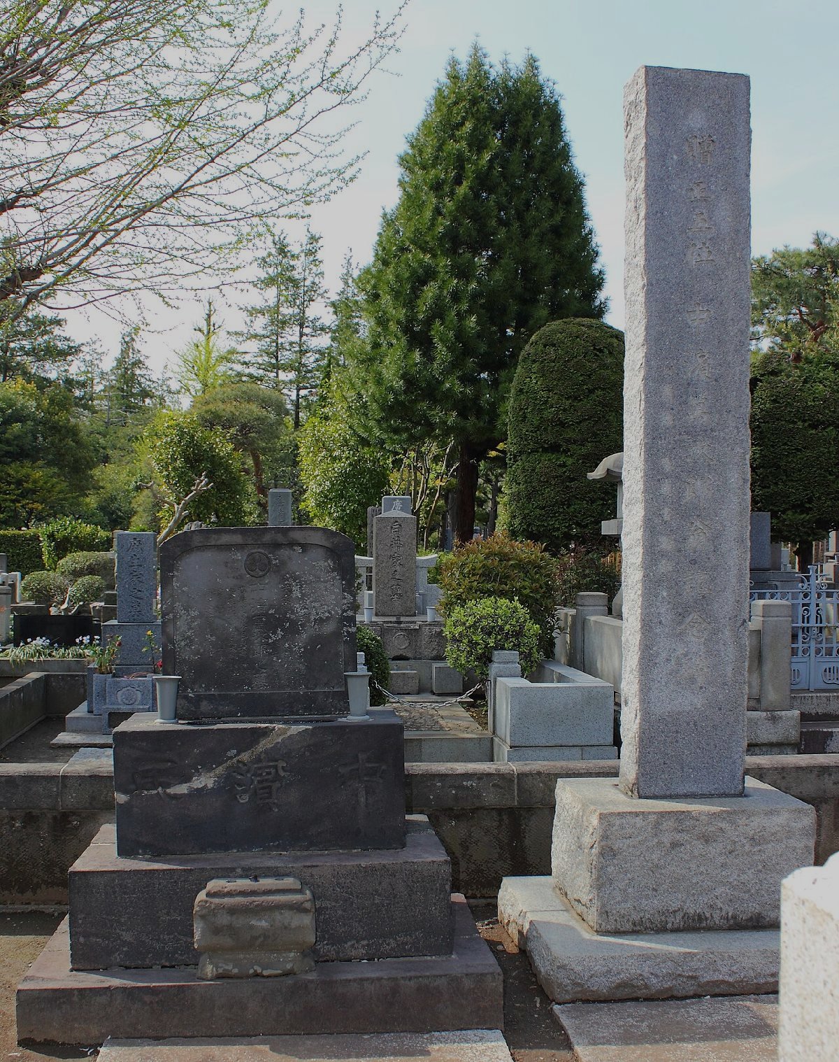 雑司ヶ谷霊園のイメージ（モザイク処理済み）