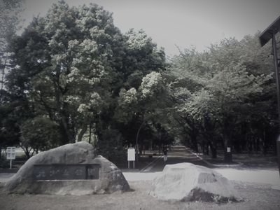 光が丘公園 (東京都練馬区の公園・城址)