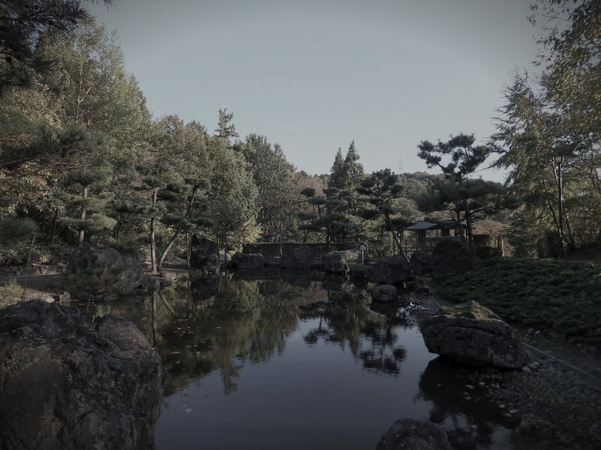一つ森公園のイメージ（モザイク処理済み）
