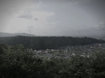 足羽山 (福井県福井市の公園・城址)