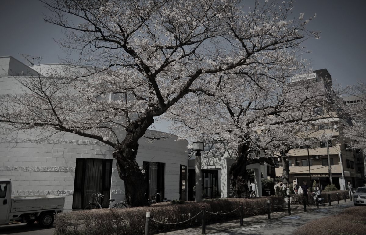 青山霊園のイメージ 3 / 4（モザイク処理済み）