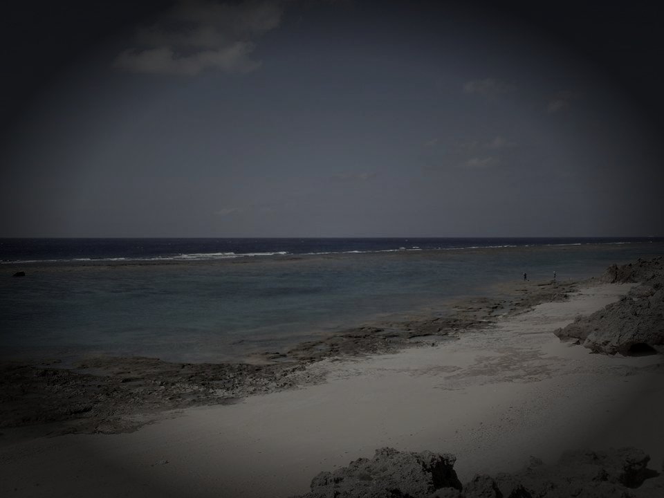 大島郡知名町の廃農村のイメージ（モザイク処理済み）