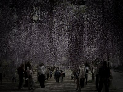 和気町の廃鉱山