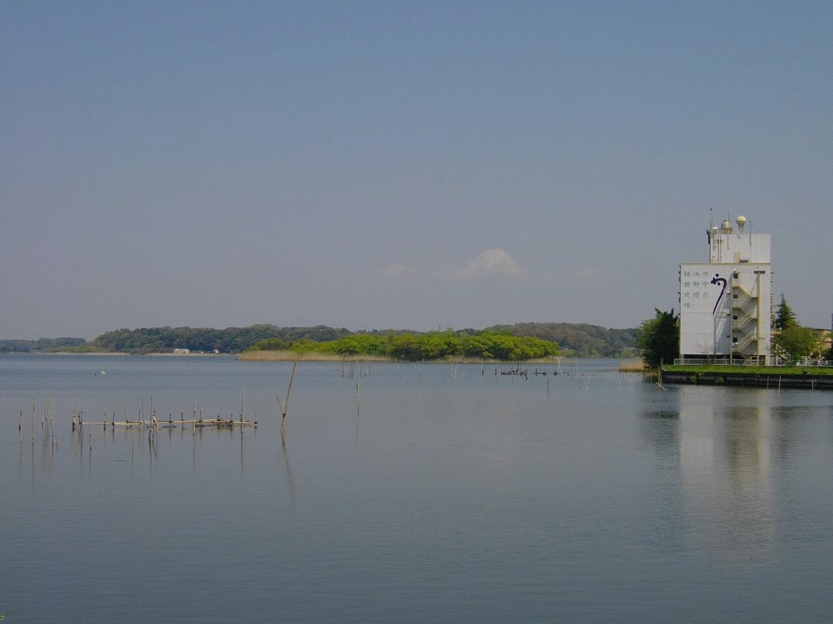 牛久沼のイメージ（モザイク処理済み）