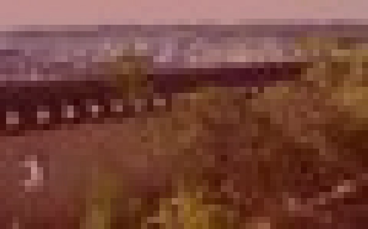 三木城跡の断末魔のイメージ（モザイク処理済み）