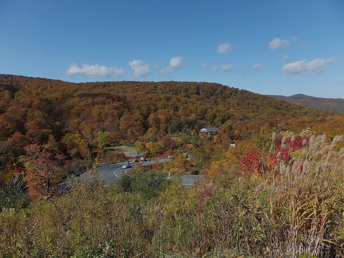 八幡平アスピーテラインのイメージ(モザイク処理済み)