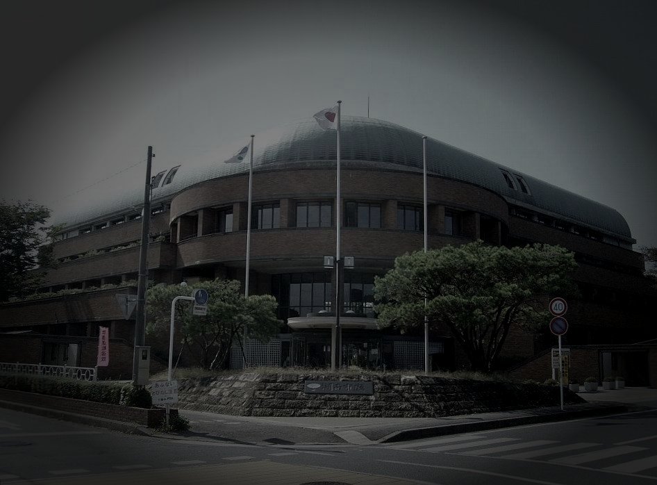 湖南市廃農村の怪火のイメージ（モザイク処理済み）