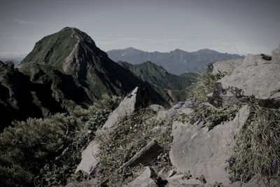 北杜市旧八ヶ岳山岳霊
