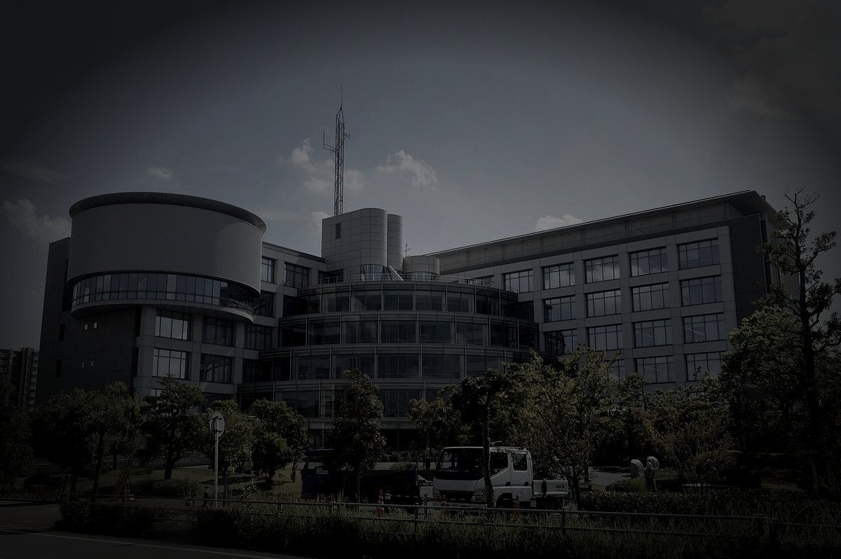 大府市廃農村跡の怪異のイメージ（モザイク処理済み）