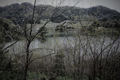 多鯰ヶ池 (鳥取県鳥取市の水辺)