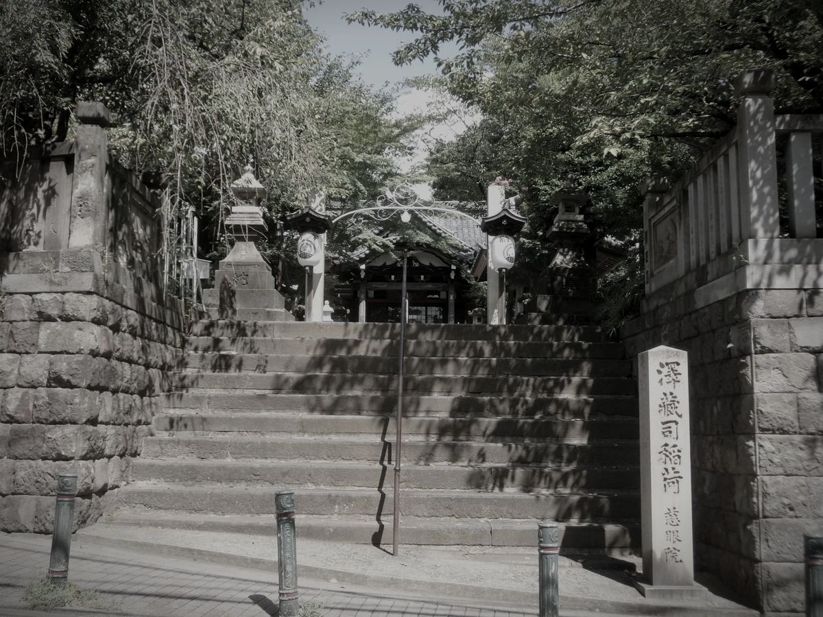 善光寺坂のムクノキのイメージ 1 / 2(モザイク処理済み)