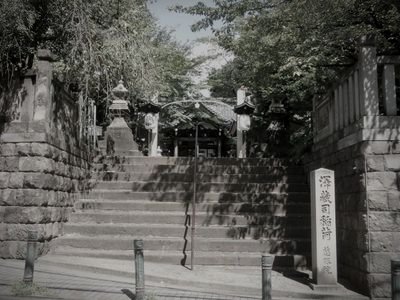 善光寺坂のムクノキ (東京都文京区の神域・霊場)