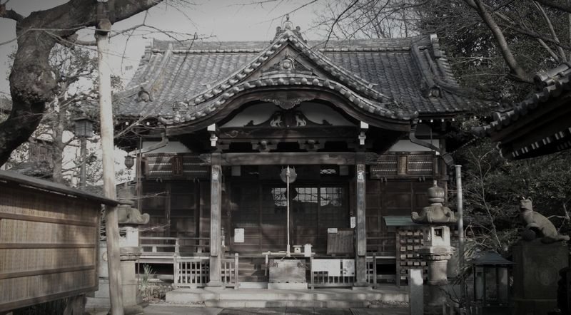 善光寺坂のムクノキのイメージ 2 / 2(モザイク処理済み)
