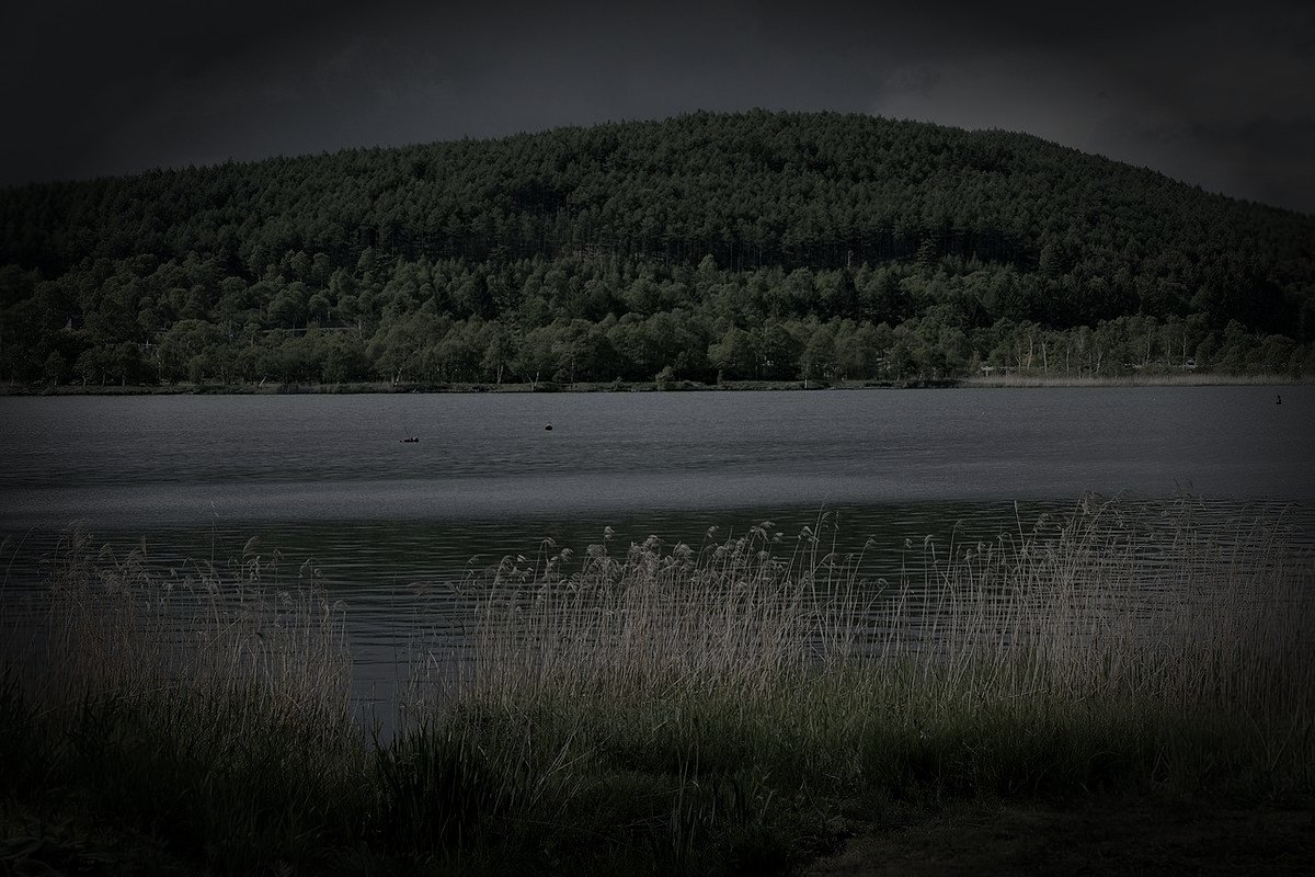 立科町廃農村跡の怪異のイメージ（モザイク処理済み）