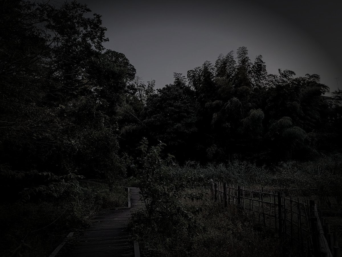 生田緑地（夜生田）のイメージ（モザイク処理済み）