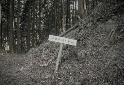 旧長野トンネル（長野峠） (三重県伊賀市の隧道・トンネル)