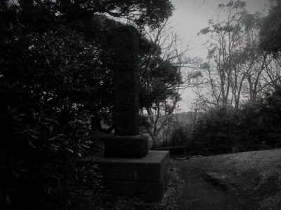 衣笠城址 (神奈川県横須賀市の公園・城址)