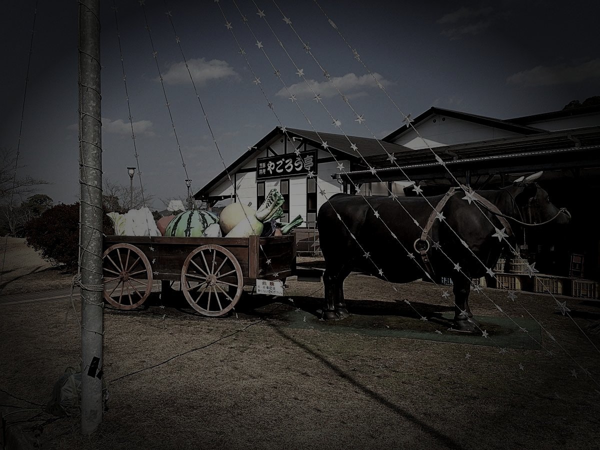 曽於市の廃農村の霊のイメージ（モザイク処理済み）