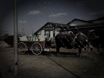 曽於市の廃農村の霊