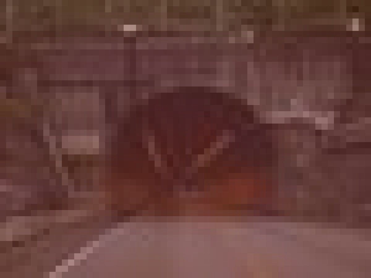 小矢部市旧倶利伽羅峠の武者霊のイメージ（モザイク処理済み）