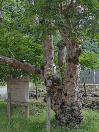 神子畑選鉱場跡