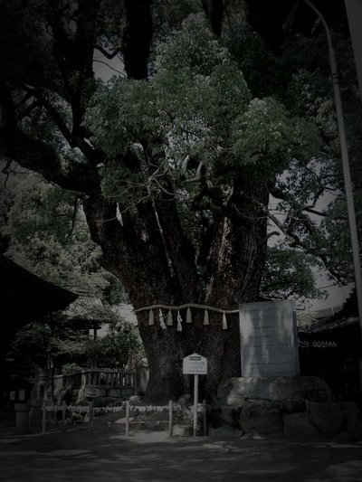 尾道市の廃寺の怪