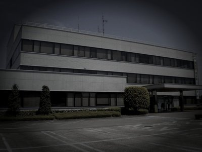 芳賀町廃農村の道祖神