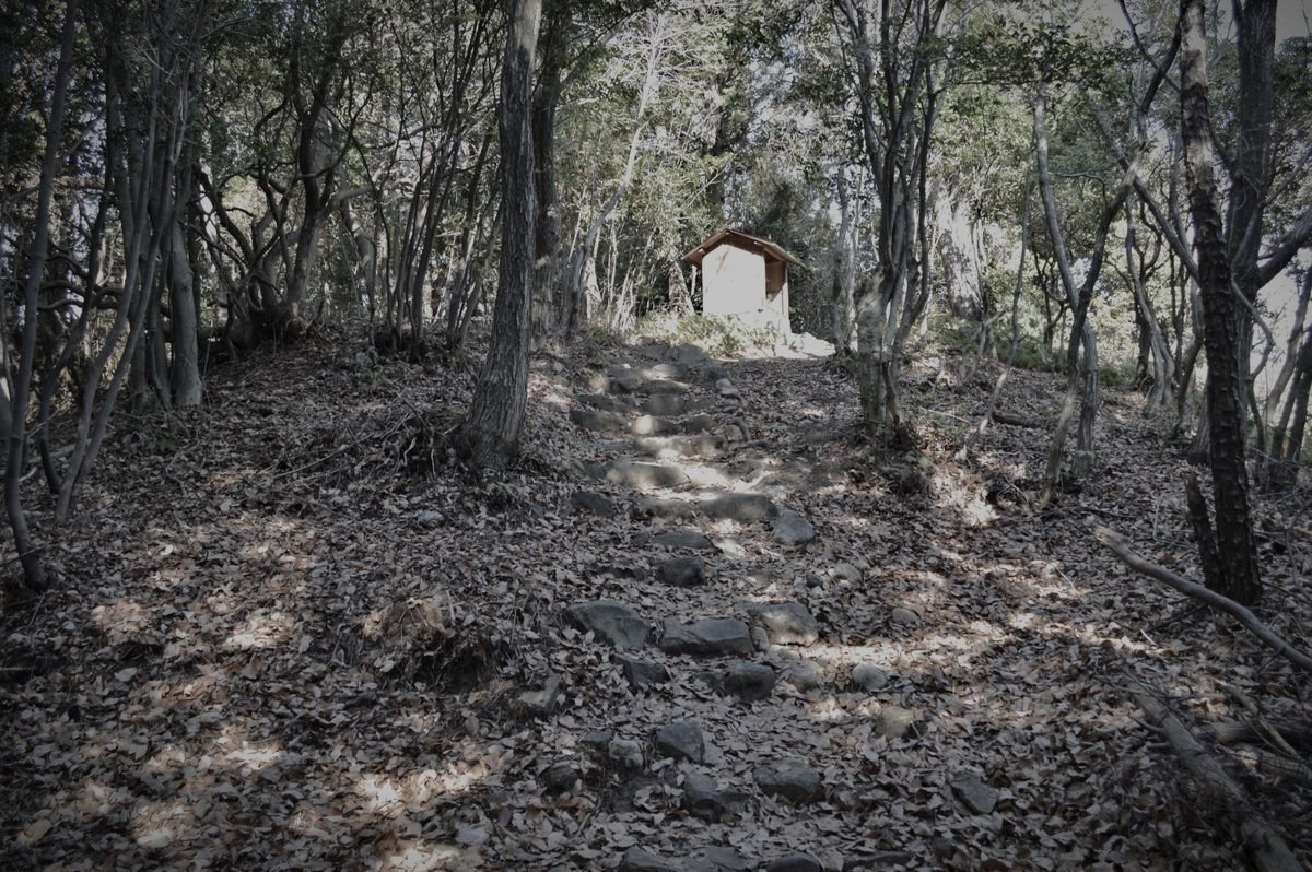 東谷山（尾張戸神社）のイメージ（モザイク処理済み）