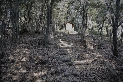 東谷山（尾張戸神社） (愛知県名古屋市守山区の神域・霊場)