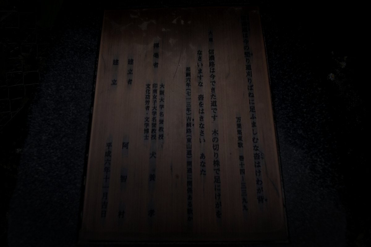 旧御坂峠のイメージ（モザイク処理済み）