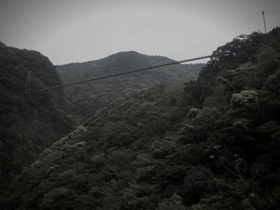 照葉大吊橋 (宮崎県東諸県郡綾町の橋・高架)