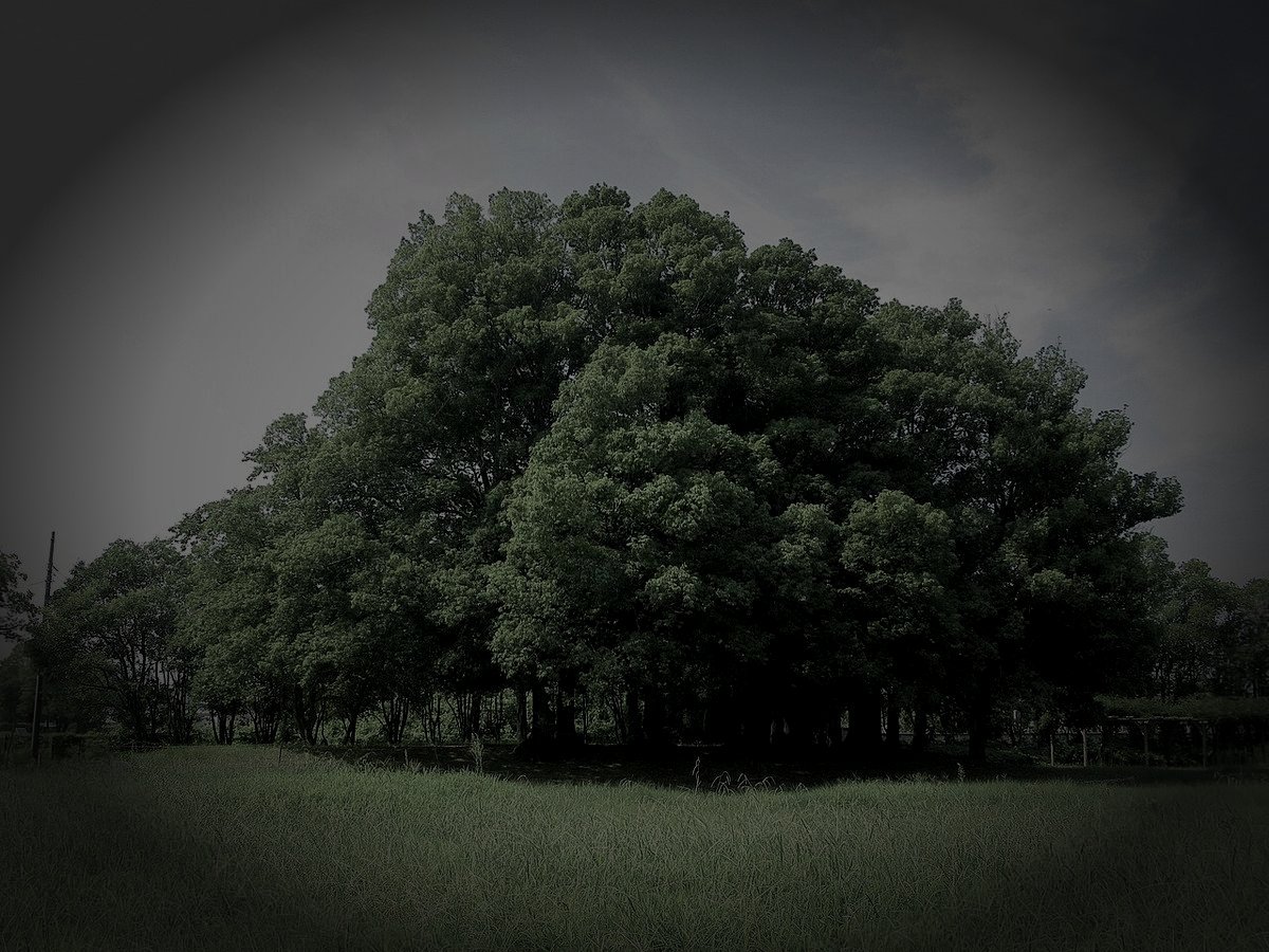 天王山廃墟病院のイメージ(モザイク処理済み)