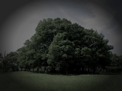天王山廃墟病院