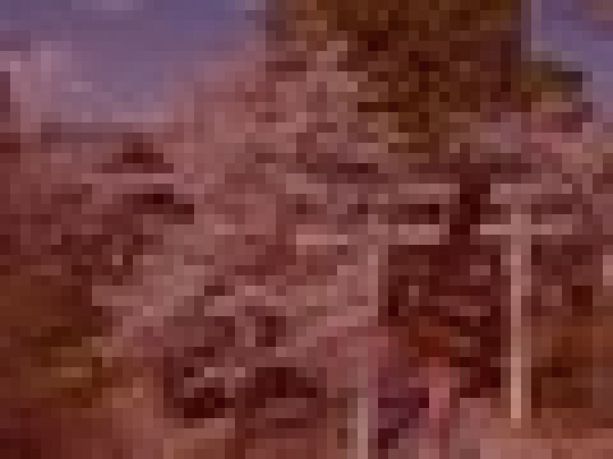 小諸市旧小諸城址の武者霊のイメージ（モザイク処理済み）