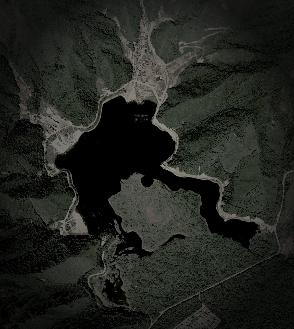 精進湖(人面魚の池)のイメージ(モザイク処理済み)