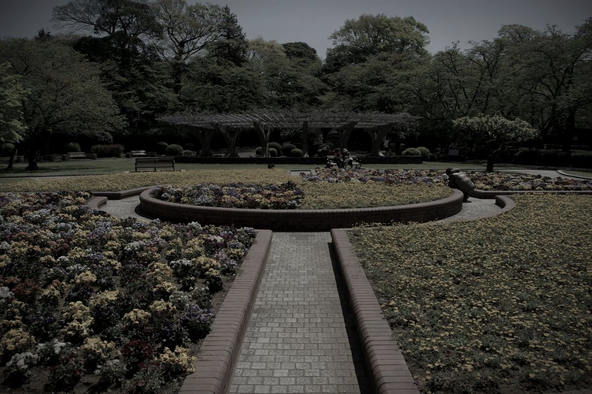 里見公園のイメージ（モザイク処理済み）