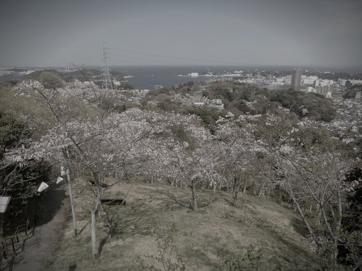 塚山公園のイメージ(モザイク処理済み)