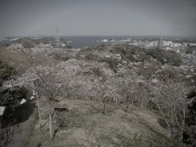 塚山公園 (神奈川県横須賀市の公園・城址)