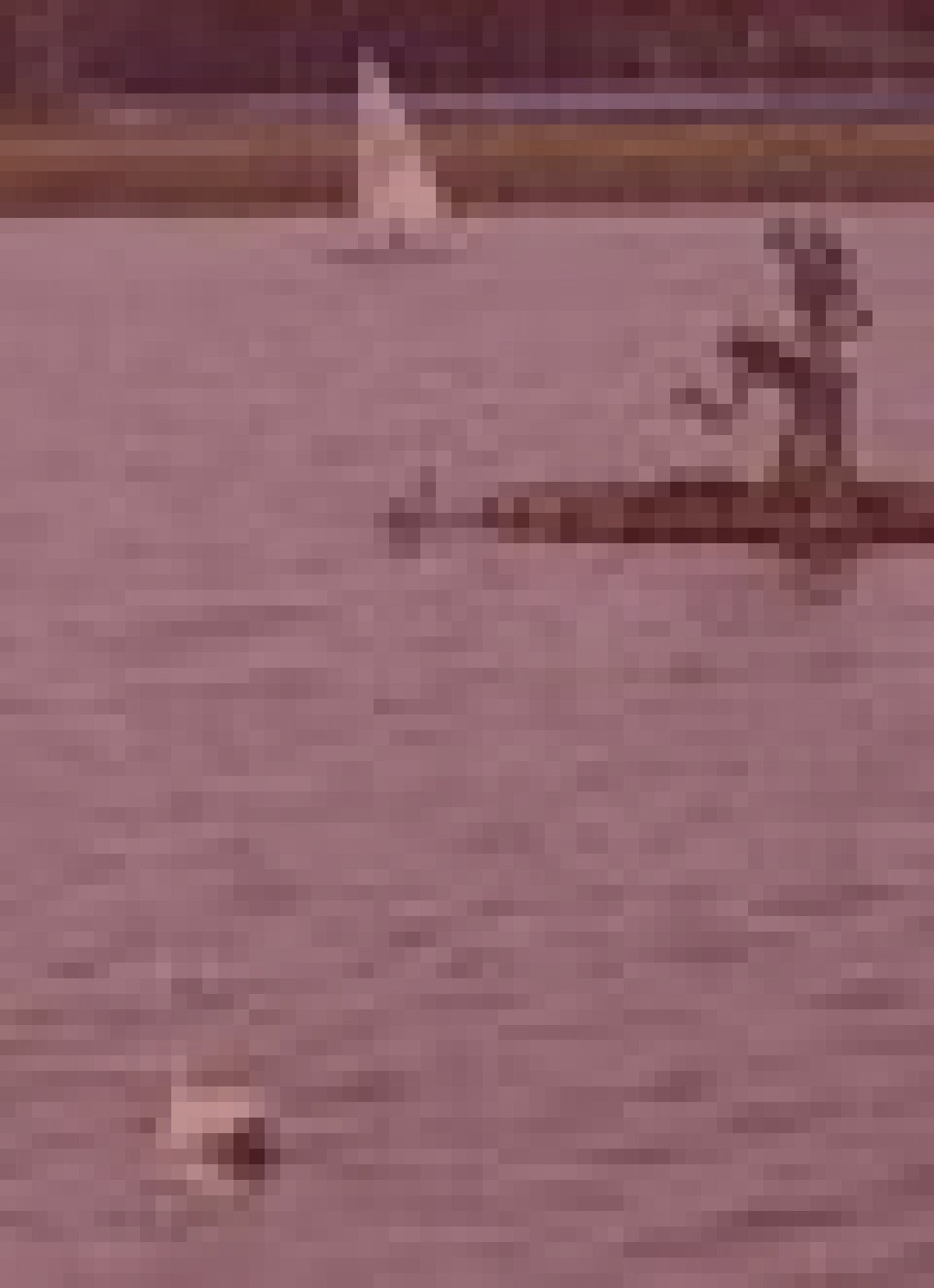 我孫子市手賀沼の水難霊のイメージ（モザイク処理済み）