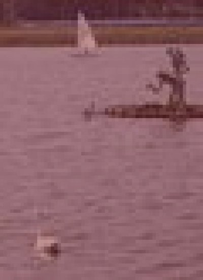 我孫子市手賀沼の水難霊