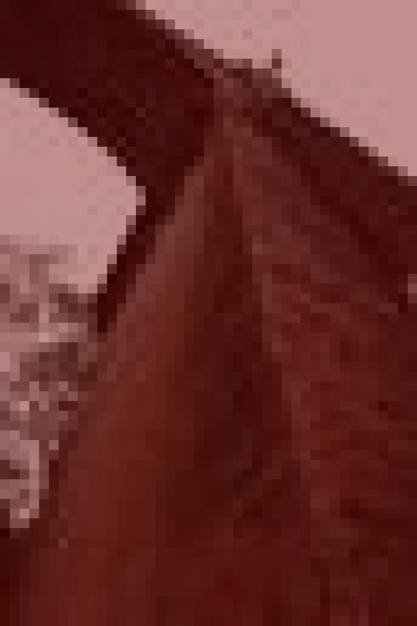 碓氷峠鉄道文化むら裏廃線のイメージ（モザイク処理済み）