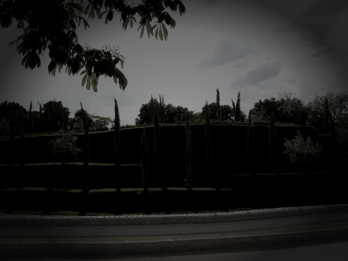 死者の森のイメージ（モザイク処理済み）