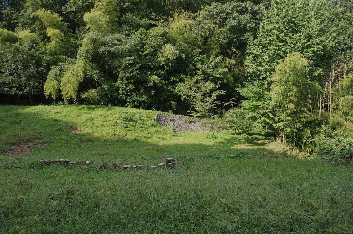 八王子城跡のイメージ（モザイク処理済み）
