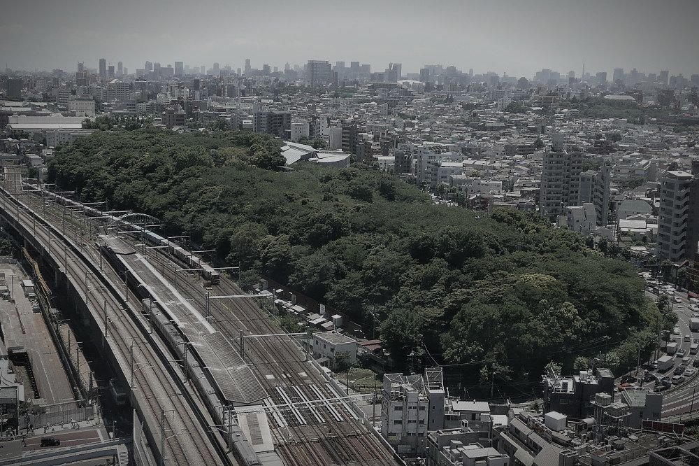 飛鳥山公園（防空壕跡）のイメージ 3 / 4（モザイク処理済み）