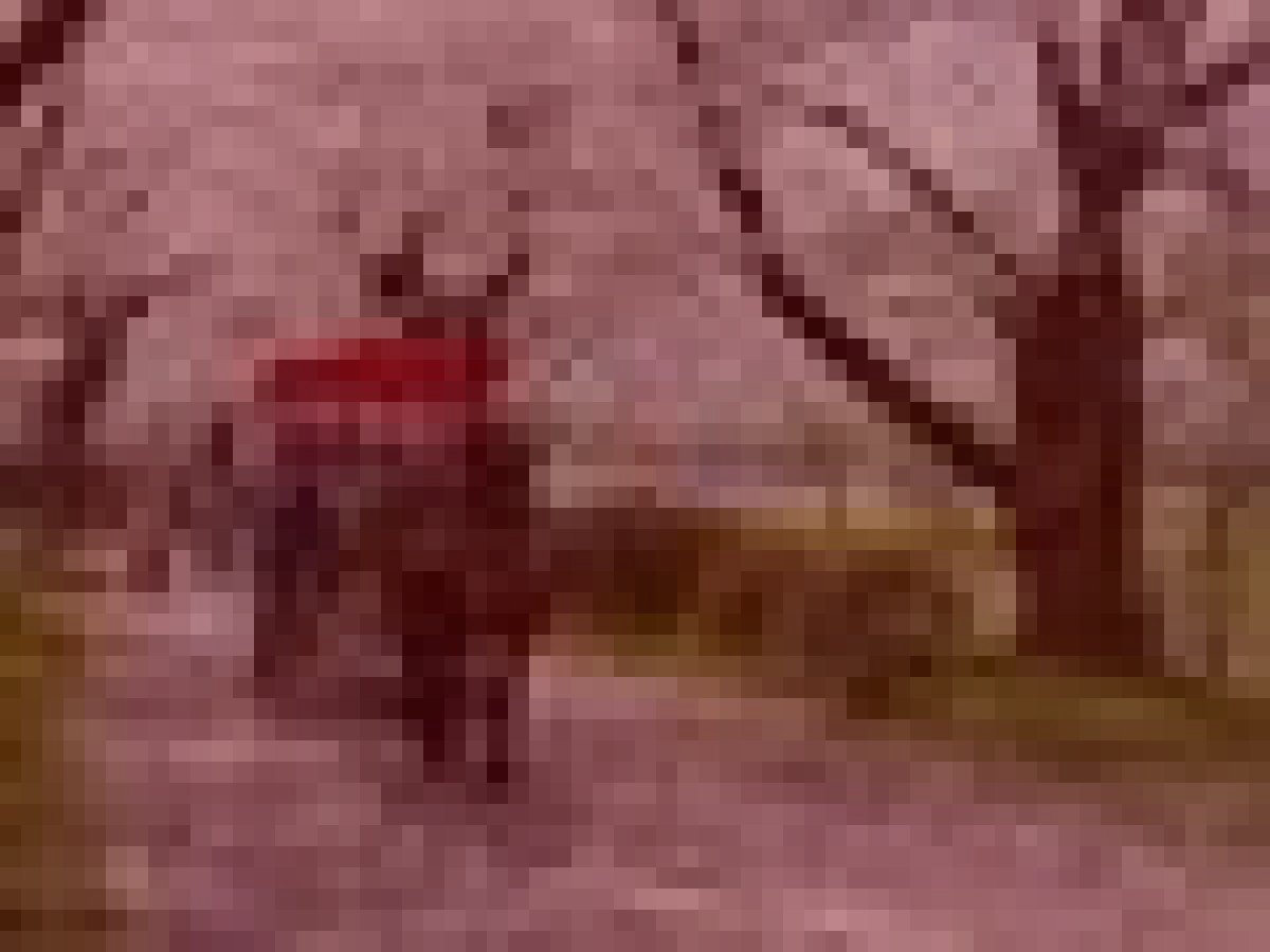 北上市旧展勝地の武者霊のイメージ（モザイク処理済み）