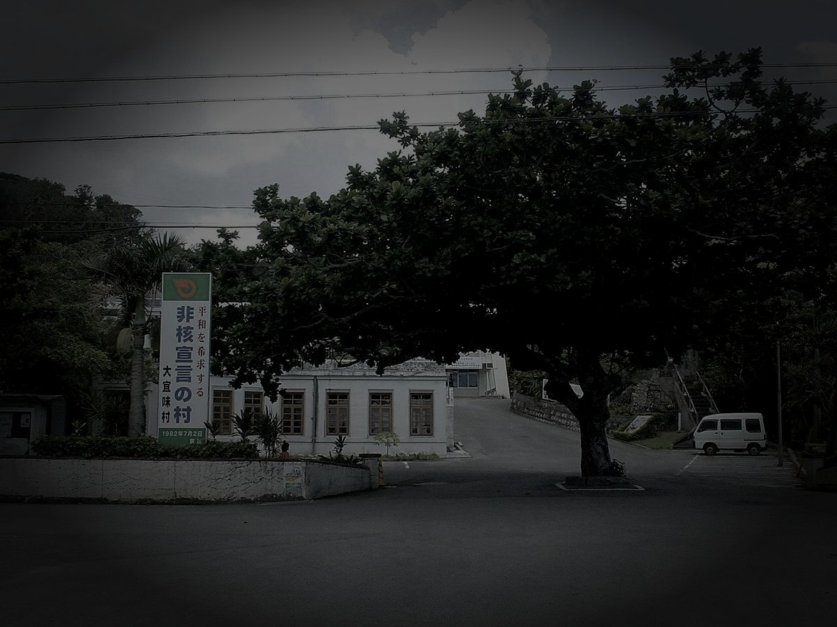 国頭郡大宜味村の廃農村のイメージ（モザイク処理済み）